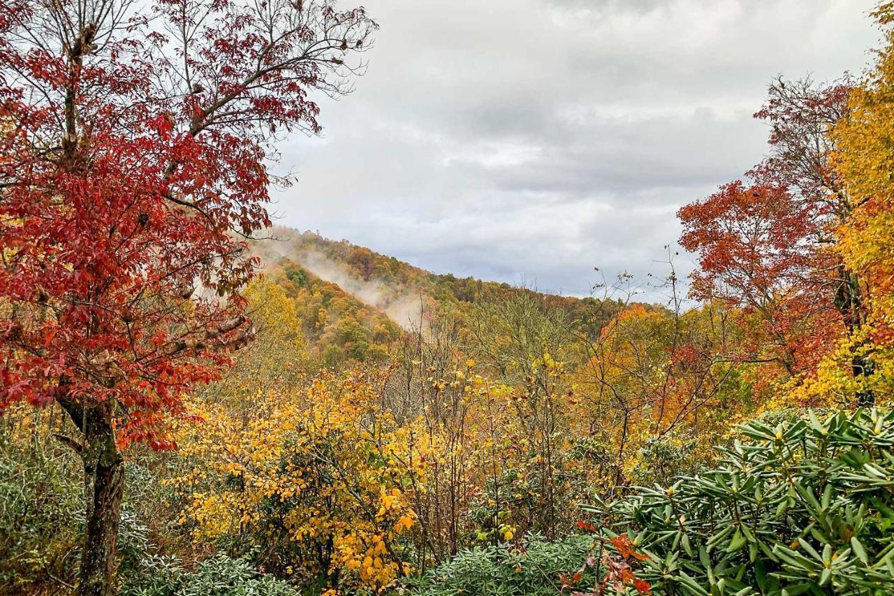 Peaceful Spruce Pine Cabin On 8 Acres With 2 Decks! Esterno foto